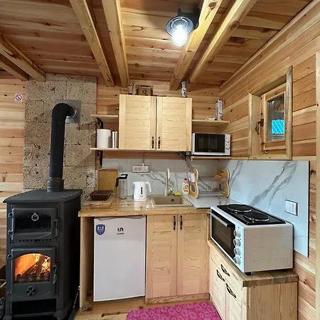 Chalet Brvnara Panda Tara *